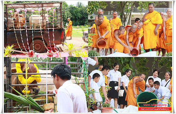 ธุดงคสถานพิษณุโลก จัดพิธีทอดผ้าป่าธรรมชัย 