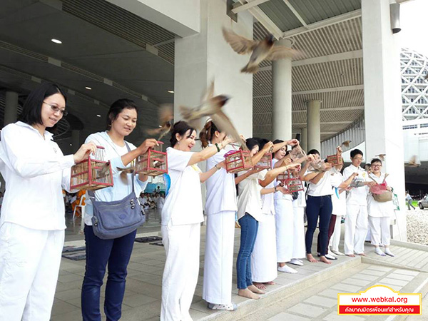 ทธศาสนิกชนเดินทางมาร่วมพิธีถวายภัตตาหารเป็นสังฆทานและปล่อยสัตว์ปล่อยปลาให้ชีวิตสัตว์เป็นทาน ณ บริเวณด้านหน้าหอฉันคุณยายอาจารย์มหารัตนอุบาสิกาจันทร์ ขนนกยูง