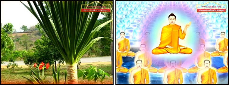 ตอน โลกุตรภูมิ 2 คำสอนพระสัมมาสัมพุทธเจ้า ธรรมะเพื่อประชาชน Dhamma for people