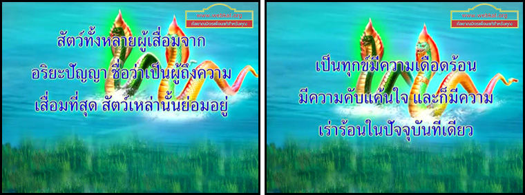 ตอน ตอน ใช้ปัญญาก่อนตัดสินใจ คำสอนพระสัมมาสัมพุทธเจ้า ธรรมะเพื่อประชาชน Dhamma for people