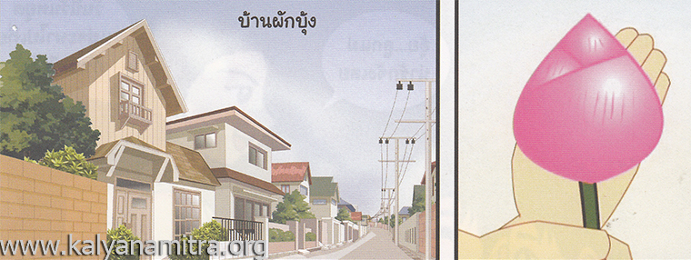 การ์ตูนคุณธรรม บุญโตหมูเพื่อนซี้ ตอน เหินฟ้า