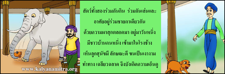 นิทานชาดก อำมาตย์บัณฑิต กับ พระยาช้างต้น อภิณหชาดก ว่าด้วยการติดเพื่อน