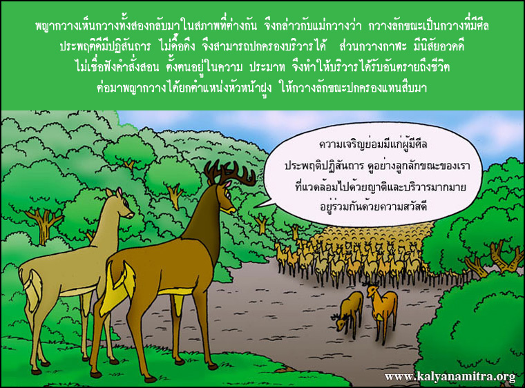 นิทานชาดกเรื่อง ลักขณะกวางยอดผู้นำ   ลักขณชาดก  ว่าด้วยคุณธรรมของผู้นำ