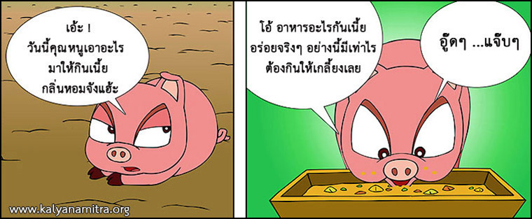 นิทานชาดก เรื่อง หมูจอมตระกละ  มุณิกชาดก  ว่าด้วยความมีอายุยืน  นิทาน นิทานธรรมะ นิทานไทย นิทานธรรมะออนไลน์ นิทานธรรมะสอนคุณธรรม นิทานชาดก นิทานไทย นิทานเด็ก การ์ตูน การ์ตูนธรรมะ การ์ตูนคุณธรรม การ์ตูนไทย การ์ตูนภาพ การ์ตูนช่อง การ์ตูนเด็ก พระโพธิสัตว์ พระพุทธเจ้า พระพุทธศาสนา ศาสนาพุทธ ศีลธรรม จริยธรรม กฏแห่งกรรม อดีตชาติ pass of life chadok chataka tale story of lord buddha fable thai cartoon thai manga law of kamma