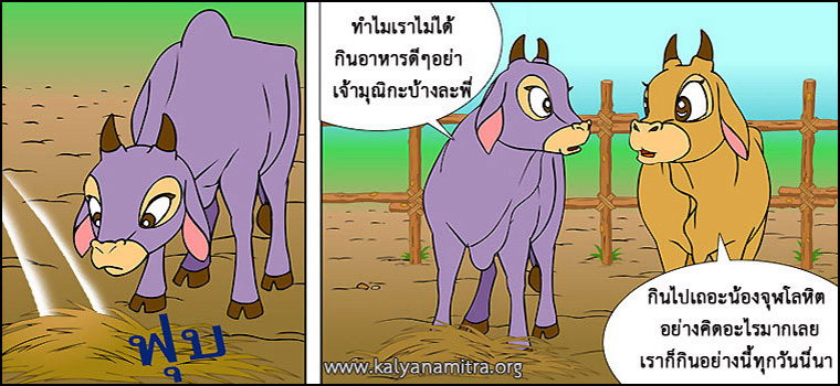 นิทานชาดก เรื่อง หมูจอมตระกละ  มุณิกชาดก  ว่าด้วยความมีอายุยืน  นิทาน นิทานธรรมะ นิทานไทย นิทานธรรมะออนไลน์ นิทานธรรมะสอนคุณธรรม นิทานชาดก นิทานไทย นิทานเด็ก การ์ตูน การ์ตูนธรรมะ การ์ตูนคุณธรรม การ์ตูนไทย การ์ตูนภาพ การ์ตูนช่อง การ์ตูนเด็ก พระโพธิสัตว์ พระพุทธเจ้า พระพุทธศาสนา ศาสนาพุทธ ศีลธรรม จริยธรรม กฏแห่งกรรม อดีตชาติ pass of life chadok chataka tale story of lord buddha fable thai cartoon thai manga law of kamma