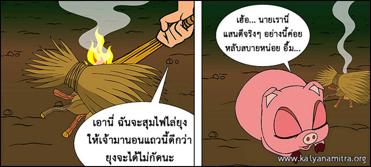 นิทานชาดก เรื่อง หมูจอมตระกละ  มุณิกชาดก  ว่าด้วยความมีอายุยืน  นิทาน นิทานธรรมะ นิทานไทย นิทานธรรมะออนไลน์ นิทานธรรมะสอนคุณธรรม นิทานชาดก นิทานไทย นิทานเด็ก การ์ตูน การ์ตูนธรรมะ การ์ตูนคุณธรรม การ์ตูนไทย การ์ตูนภาพ การ์ตูนช่อง การ์ตูนเด็ก พระโพธิสัตว์ พระพุทธเจ้า พระพุทธศาสนา ศาสนาพุทธ ศีลธรรม จริยธรรม กฏแห่งกรรม อดีตชาติ pass of life chadok chataka tale story of lord buddha fable thai cartoon thai manga law of kamma