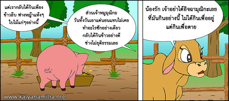 นิทานชาดก เรื่อง หมูจอมตระกละ  มุณิกชาดก  ว่าด้วยความมีอายุยืน  นิทาน นิทานธรรมะ นิทานไทย นิทานธรรมะออนไลน์ นิทานธรรมะสอนคุณธรรม นิทานชาดก นิทานไทย นิทานเด็ก การ์ตูน การ์ตูนธรรมะ การ์ตูนคุณธรรม การ์ตูนไทย การ์ตูนภาพ การ์ตูนช่อง การ์ตูนเด็ก พระโพธิสัตว์ พระพุทธเจ้า พระพุทธศาสนา ศาสนาพุทธ ศีลธรรม จริยธรรม กฏแห่งกรรม อดีตชาติ pass of life chadok chataka tale story of lord buddha fable thai cartoon thai manga law of kamma