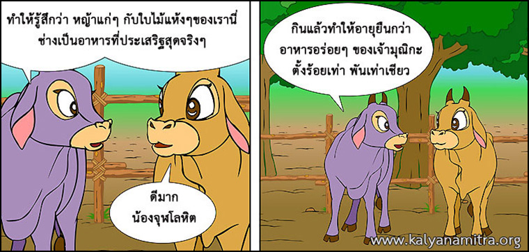 นิทานชาดก เรื่อง หมูจอมตระกละ  มุณิกชาดก  ว่าด้วยความมีอายุยืน  นิทาน นิทานธรรมะ นิทานไทย นิทานธรรมะออนไลน์ นิทานธรรมะสอนคุณธรรม นิทานชาดก นิทานไทย นิทานเด็ก การ์ตูน การ์ตูนธรรมะ การ์ตูนคุณธรรม การ์ตูนไทย การ์ตูนภาพ การ์ตูนช่อง การ์ตูนเด็ก พระโพธิสัตว์ พระพุทธเจ้า พระพุทธศาสนา ศาสนาพุทธ ศีลธรรม จริยธรรม กฏแห่งกรรม อดีตชาติ pass of life chadok chataka tale story of lord buddha fable thai cartoon thai manga law of kamma