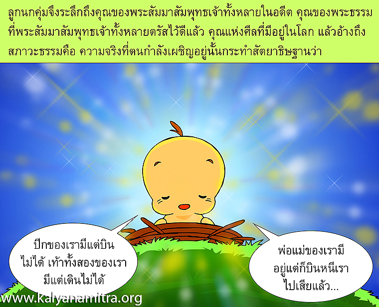 นิทานชาดกเรื่องวัฏฏกาชาดก นกคุ่มโพธิสัตว์ ว่าด้วยการทำให้เกิดความสุข