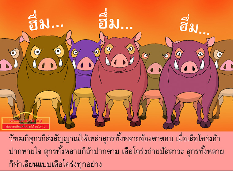 นิทานชาดกเรื่อง สุกรปราบพยัคฆ์   วัฑฒกีสูกรชาดก ว่าด้วยหมูสู้เสือได้ด้วยสามัคคีกัน