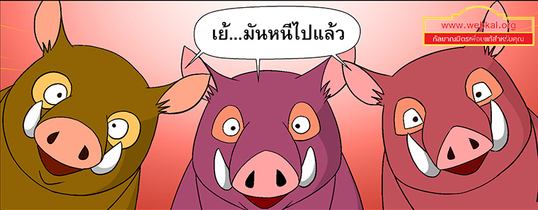 นิทานชาดกเรื่อง สุกรปราบพยัคฆ์   วัฑฒกีสูกรชาดก ว่าด้วยหมูสู้เสือได้ด้วยสามัคคีกัน