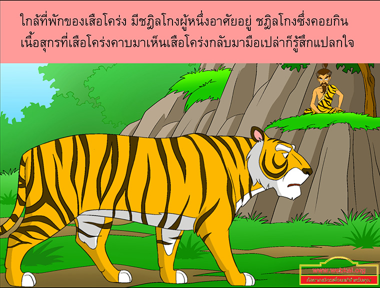 นิทานชาดกเรื่อง สุกรปราบพยัคฆ์   วัฑฒกีสูกรชาดก ว่าด้วยหมูสู้เสือได้ด้วยสามัคคีกัน