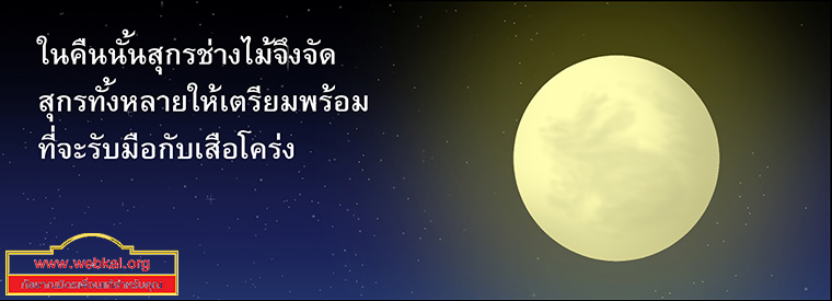 นิทานชาดกเรื่อง สุกรปราบพยัคฆ์   วัฑฒกีสูกรชาดก ว่าด้วยหมูสู้เสือได้ด้วยสามัคคีกัน