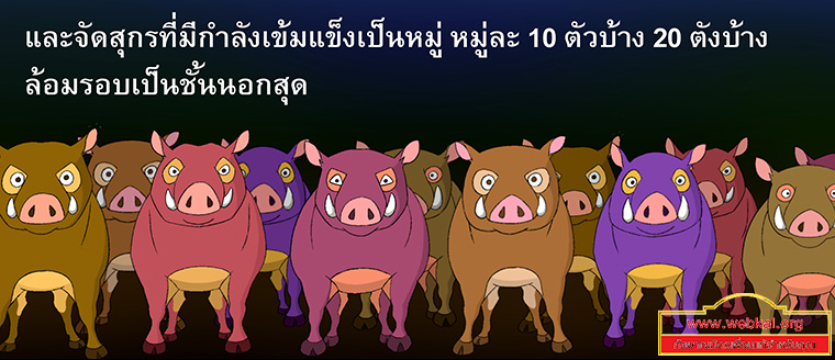 นิทานชาดกเรื่อง สุกรปราบพยัคฆ์   วัฑฒกีสูกรชาดก ว่าด้วยหมูสู้เสือได้ด้วยสามัคคีกัน