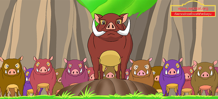 นิทานชาดกเรื่อง สุกรปราบพยัคฆ์   วัฑฒกีสูกรชาดก ว่าด้วยหมูสู้เสือได้ด้วยสามัคคีกัน
