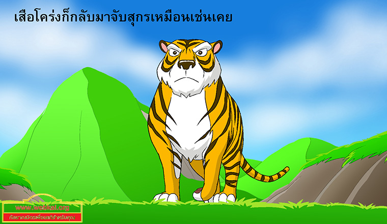 นิทานชาดกเรื่อง สุกรปราบพยัคฆ์   วัฑฒกีสูกรชาดก ว่าด้วยหมูสู้เสือได้ด้วยสามัคคีกัน