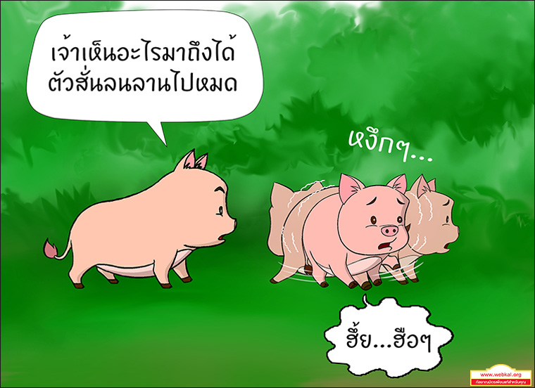 สุกรโพธิสัตว์ ตุณฑิลชาดก ว่าด้วย ธรรมเหมือนน้ำ บาปธรรมเหมือนเหงื่อไคล