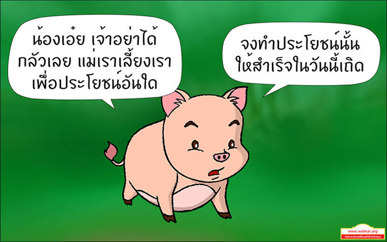 สุกรโพธิสัตว์ ตุณฑิลชาดก ว่าด้วย ธรรมเหมือนน้ำ บาปธรรมเหมือนเหงื่อไคล