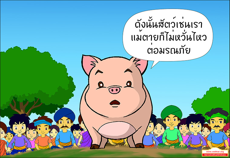 สุกรโพธิสัตว์ ตุณฑิลชาดก ว่าด้วย ธรรมเหมือนน้ำ บาปธรรมเหมือนเหงื่อไคล