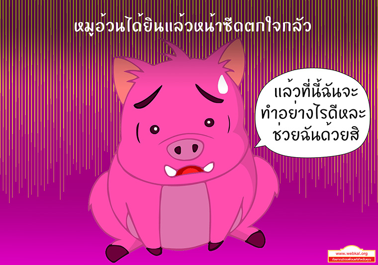 การ์ตูนนิทานชาดกเรื่อง  หมูอวดดี  สูกรชาดก ว่าด้วย หมูท้าราชสีห์