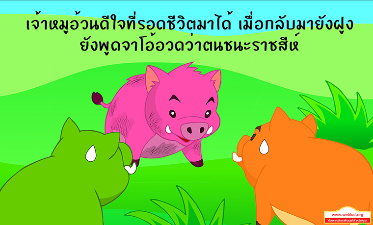 การ์ตูนนิทานชาดกเรื่อง  หมูอวดดี  สูกรชาดก ว่าด้วย หมูท้าราชสีห์