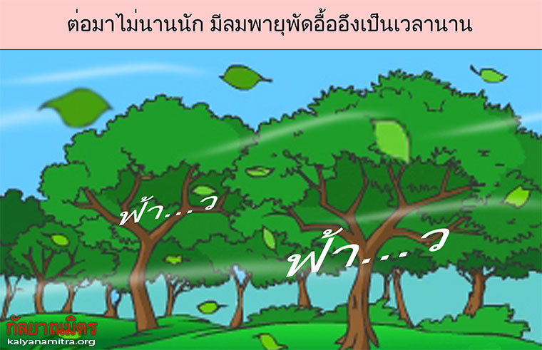 นิทานชาดกเรื่อง นกหัวดื้อ  สกุณชาดก  ชาดกว่าด้วยการเป็นคนดื้อ ว่ายากสอนยาก