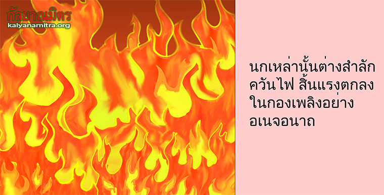 นิทานชาดกเรื่อง นกหัวดื้อ  สกุณชาดก  ชาดกว่าด้วยการเป็นคนดื้อ ว่ายากสอนยาก