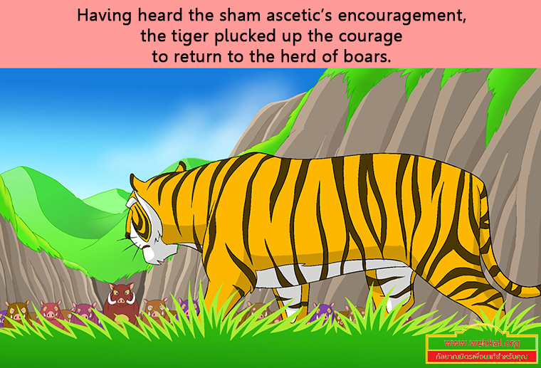 สุกรปราบพยัคฆ์ วัฑฒกีสูกรชาดก ว่าด้วยหมูสู้เสือได้ด้วยสามัคคีกัน
