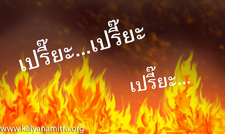 นิทานชาดกภาษาอังกฤษ วัฏฏกาชาดก นกคุ่มโพธิสัตว์ ว่าด้วยการทำให้เกิดความสุข