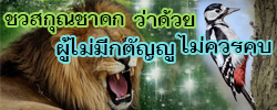 รูปนิทานชาดกอรรถกถาชาดก