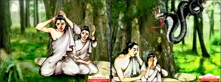 ชาดก 500 ชาติ สุวรรณสามชาดก-ชาดกว่าด้วยผู้บำเพ็ญเมตตาบารมี