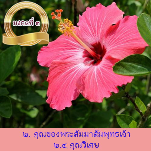 mongkol%20%2015-9-63--1.jpg