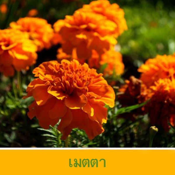 24-5-64-1-br.jpg