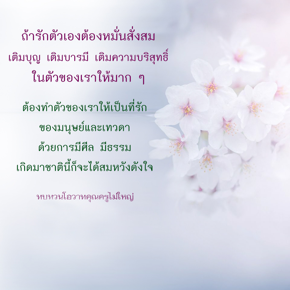 20-3-67---5.jpg