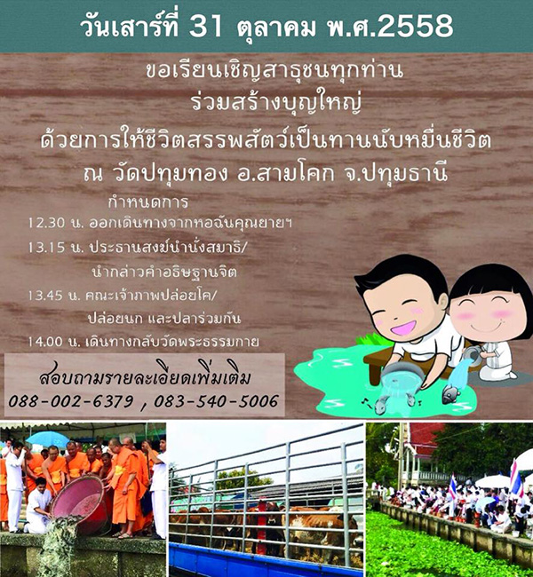 ปล่อยสัตว์ปล่อยปลา เสาร์ที่ 31 ตุลาคม พ.ศ.2558 ณ วัดปทุมทอง