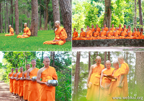 ธรรมทายาทอุปสมบทหมู่ ระดับอุดมศึกษา รุ่นที่ 44