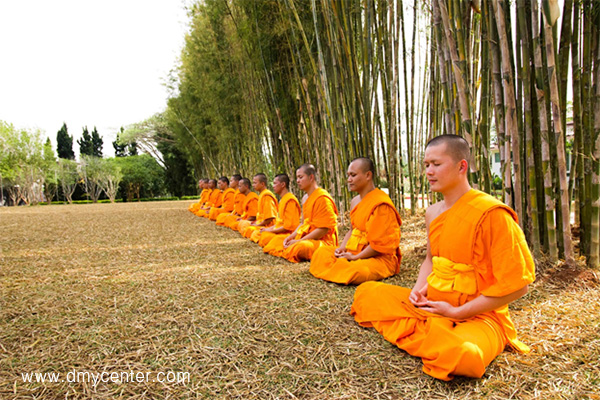 โครงการอุปสมบทหมู่ พระพี่เลี้ยงเข้าพรรษา พ.ศ. 2559 สร้างต้นแบบคนดี ที่โลกต้องการ