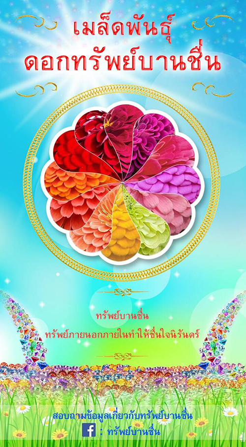 เชิญชวนสาธุชน รับบุญแพ็คเมล็ดพันธุ์ทรัพย์บานชื่น