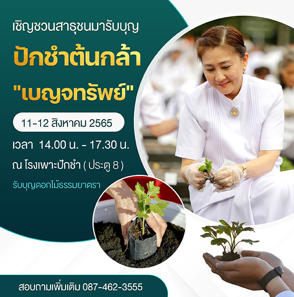 เชิญชวนสาธุชนมารับบุญปักชำต้นกล้า เบญจทรัพย์ ณ โรงเพาะปักชำ (ประตู 8) ระหว่างวันที่ 11-12 สิงหาคม พ.ศ.2565