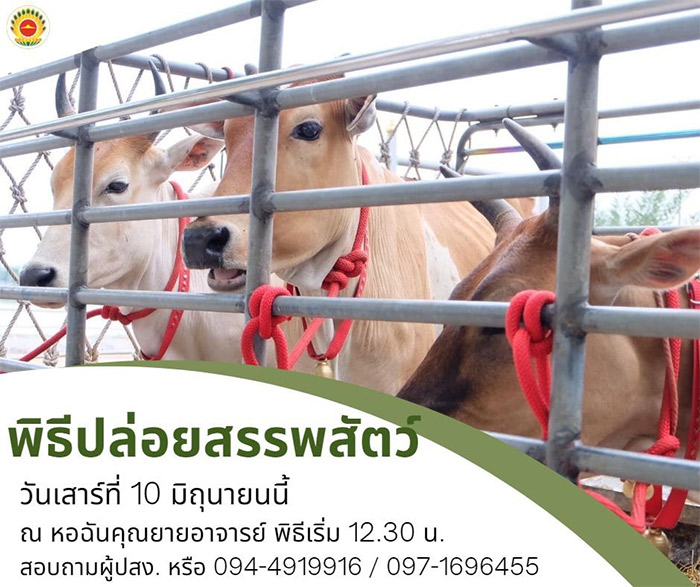 พิธีปล่อยสรรพสัตว์ วันเสาร์ที่ 10 มิถุนายน พ.ศ.2566 เวลา 12.30 น. ณ หอฉันคุณยายอาจารย์ฯ  วัดพระธรรมกาย จ.ปทุมธานี