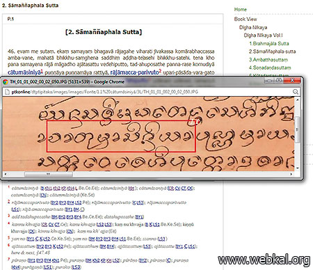 บทความพิเศษ    