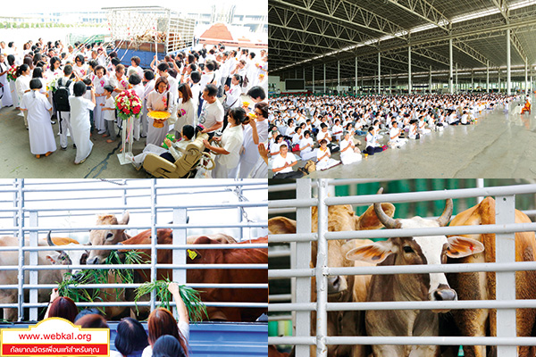 อยู่ในบุญ , วัดพระธรรมกาย , ธรรมกาย , วารสาร , หนังสือ , หนังสืออยู่ในบุญ , หนังสือธรรมะ , บุญ , หลวงพ่อธัมมชโย , หลวงพ่อทัตตชีโว , พระมงคลเทพมุนี , case study , ฝันในฝัน , สื่อธรรมะ , วิชชาธรรมกาย , ธรรมกายเจดีย์ , สวดธรรมจักร , ธัมมจักกัปปวัตตนสูตร , world peace , พระสัมมาสัมพุทธเจ้า , พระพุทธเจ้า , พุทธพจน์ , คำสอนหลวงปู่ , คำสอนคุณยาย , คำสอนหลวงพ่อธัมมชโย , อยู่ในบุญเดือนมีนาคม2561 , สมาธิ , หยุดเป็นตัวสำเร็จ , พระพุทธศาสนา , 072 , หยุดใจ , ศูนย์กลางกายฐานที่ 7 , วันมหาปูชนียาจารย์ วันสำคัญที่มีความหมายยิ่ง