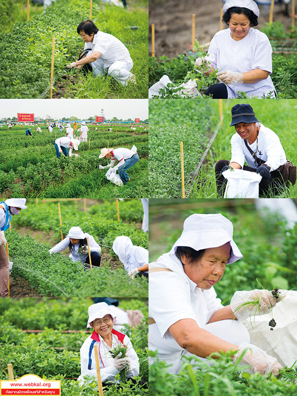 อยู่ในบุญ , วัดพระธรรมกาย , ธรรมกาย , วารสาร , หนังสือ , หนังสืออยู่ในบุญ , หนังสือธรรมะ , บุญ , หลวงพ่อธัมมชโย , หลวงพ่อทัตตชีโว , พระมงคลเทพมุนี , case study , ฝันในฝัน , สื่อธรรมะ , วิชชาธรรมกาย , ธรรมกายเจดีย์ , สวดธรรมจักร , ธัมมจักกัปปวัตตนสูตร , world peace , พระสัมมาสัมพุทธเจ้า , พระพุทธเจ้า , พุทธพจน์ , คำสอนหลวงปู่ , คำสอนคุณยาย , คำสอนหลวงพ่อธัมมชโย , อยู่ในบุญเดือนมีนาคม2561 , สมาธิ , หยุดเป็นตัวสำเร็จ , พระพุทธศาสนา , 072 , หยุดใจ , ศูนย์กลางกายฐานที่ 7 , วันมหาปูชนียาจารย์ วันสำคัญที่มีความหมายยิ่ง