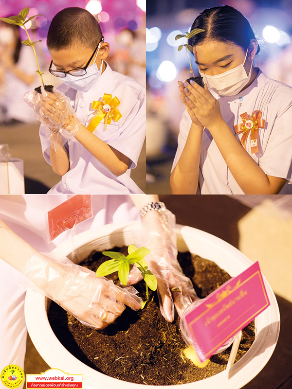 อยู่ในบุญ , วัดพระธรรมกาย , ธรรมกาย , วารสาร , หนังสือ , แม๊กกาซีน , หนังสืออยู่ในบุญ , หนังสือธรรมะ , บุญ , หลวงพ่อธัมมชโย , หลวงพ่อทัตตชีโว , พระมงคลเทพมุนี , case study , ฝันในฝัน , สื่อธรรมะ , วิชชาธรรมกาย , ธรรมกายเจดีย์ , สวดธรรมจักร , ธัมมจักกัปปวัตตนสูตร , world peace , พระสัมมาสัมพุทธเจ้า , พระพุทธเจ้า , พุทธพจน์ , คำสอนหลวงปู่ , คำสอนคุณยาย , คำสอนหลวงพ่อธัมมชโย , อยู่ในบุญเดือนพฤศจิกายน2563 , สมาธิ , หยุดเป็นตัวสำเร็จ , พระพุทธศาสนา , พระมหาศุภณัฐ จนฺทชโย ป.ธ.๙ , หยุดใจ , ศูนย์กลางกายฐานที่ 7 , ๑๐ ตุลามหาปีติ , ทอดผ้าป่า , ผ้าป่าธรรมกาย