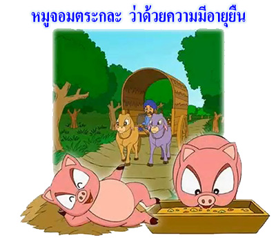 หมูจอมตระกละ  มุณิกชาดก ว่าด้วยความมีอายุยืน  นิทาน นิทานธรรมะ นิทานไทย นิทานธรรมะออนไลน์ นิทานธรรมะสอนคุณธรรม นิทานชาดก นิทานไทย นิทานเด็ก การ์ตูน การ์ตูนธรรมะ การ์ตูนคุณธรรม การ์ตูนไทย การ์ตูนภาพ การ์ตูนช่อง การ์ตูนเด็ก พระโพธิสัตว์ พระพุทธเจ้า พระพุทธศาสนา ศาสนาพุทธ ศีลธรรม จริยธรรม กฏแห่งกรรม อดีตชาติ pass of life chadok chataka tale story of lord buddha fable thai cartoon thai manga law of kamma