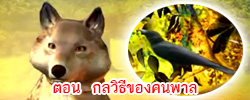 ชาดก : ธรรมะเพื่อประชาชน Dhamma for peopleรวมชาดก 500 ชาติพร้อมภาพประกอบ  ข้อคิดสอนใจ