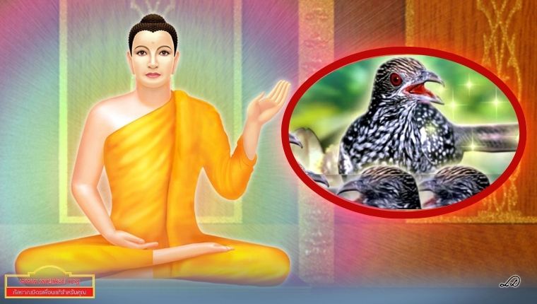 Dhamma%20238_07.jpg