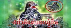 ชาดก : ธรรมะเพื่อประชาชน Dhamma for peopleรวมชาดก 500 ชาติพร้อมภาพประกอบ  ข้อคิดสอนใจ