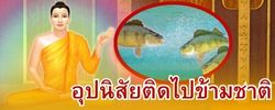 ชาดก : ธรรมะเพื่อประชาชน Dhamma for peopleรวมชาดก 500 ชาติพร้อมภาพประกอบ  ข้อคิดสอนใจ