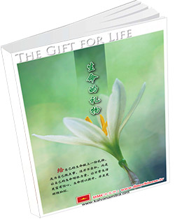 หนังสือธรรมะแจกฟรี .pdf shengming-de-liwu